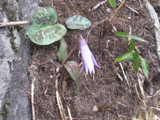 c0138182_991135.jpg