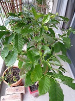 b0238886_1834939.jpg