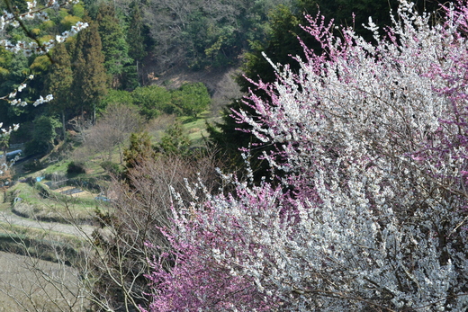 e0246788_22345178.jpg