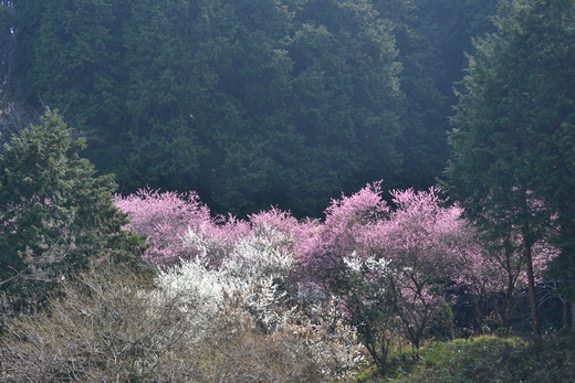e0246788_22365144.jpg
