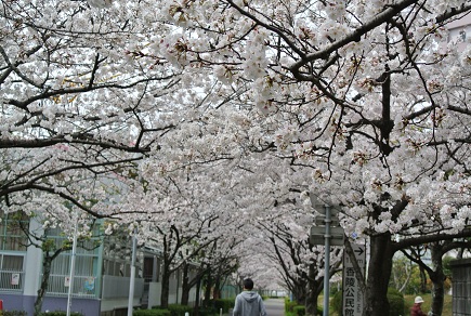 b0128589_18151111.jpg