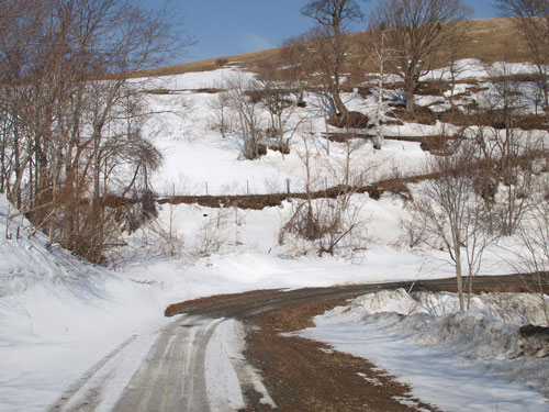 f0236291_14452531.jpg