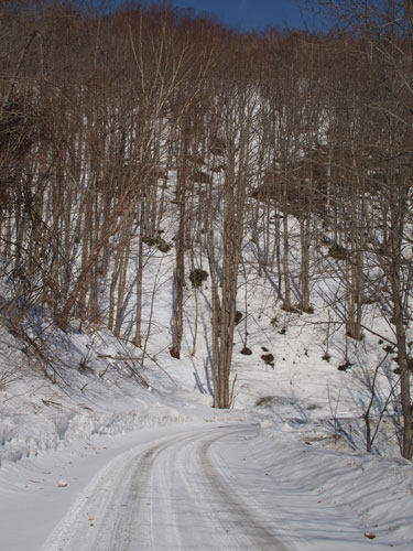 f0236291_14455810.jpg