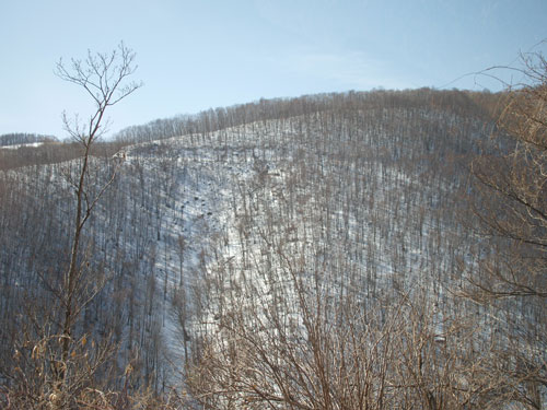 f0236291_1446252.jpg