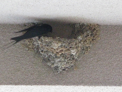 f0181394_2036224.jpg