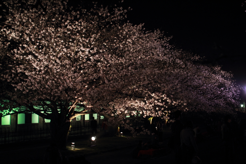 c0129498_1134379.jpg