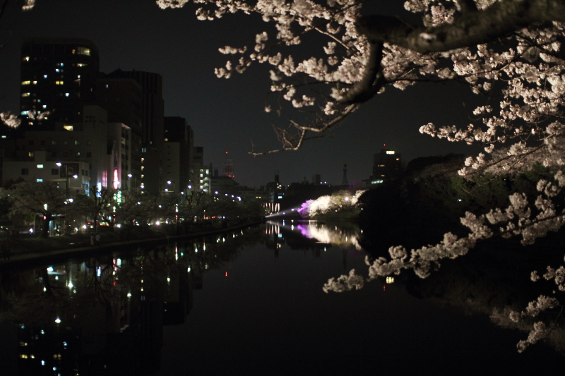 c0129498_1134969.jpg