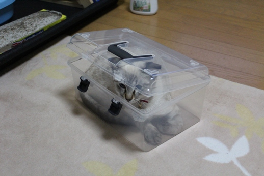 c0213598_1853116.jpg