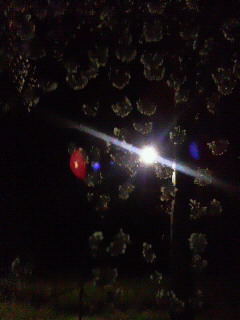 c0272200_16281796.jpg