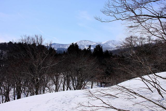 e0137200_2015235.jpg