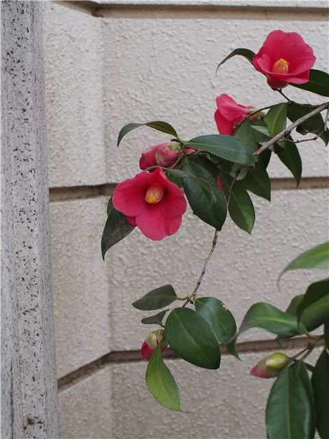 f0224100_22105580.jpg