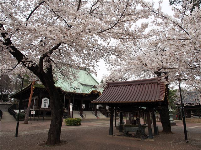 f0224100_22123333.jpg