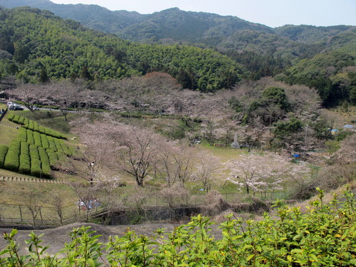 c0036203_2217457.jpg
