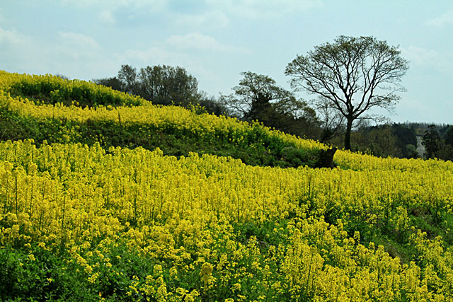 b0014607_1781832.jpg