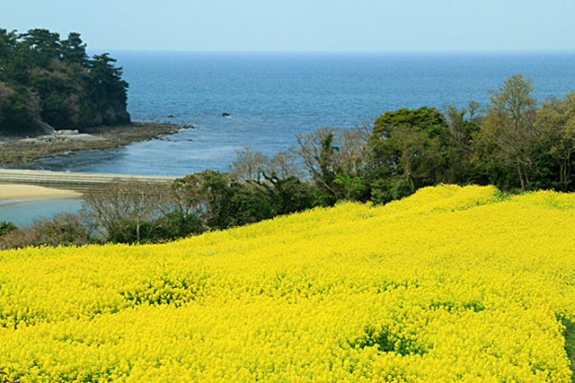 b0014607_178427.jpg