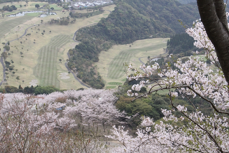 e0250807_0115989.jpg