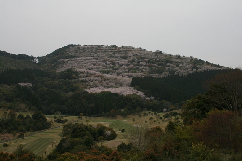 e0250807_012157.jpg