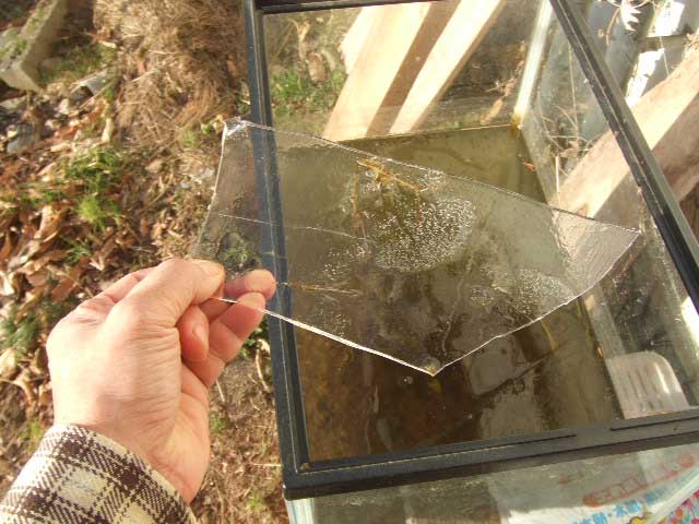 c0085508_794354.jpg