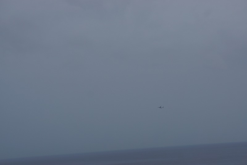 e0181908_8162464.jpg
