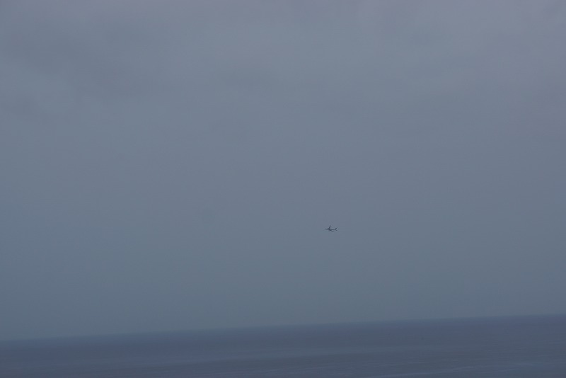 e0181908_8163424.jpg