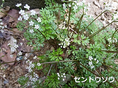 b0279109_634134.jpg