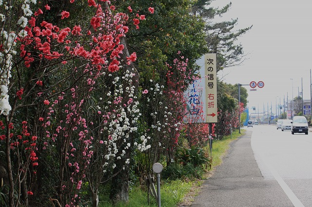 d0154609_1943221.jpg