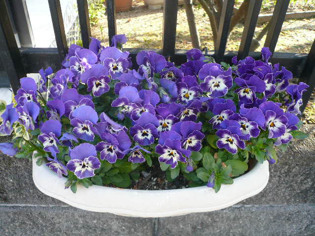 e0026017_1227242.jpg