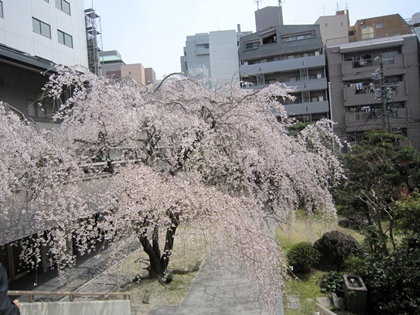 a0105023_17342154.jpg