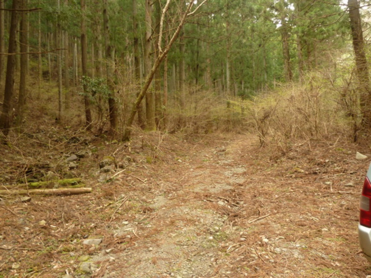 e0033229_21115191.jpg