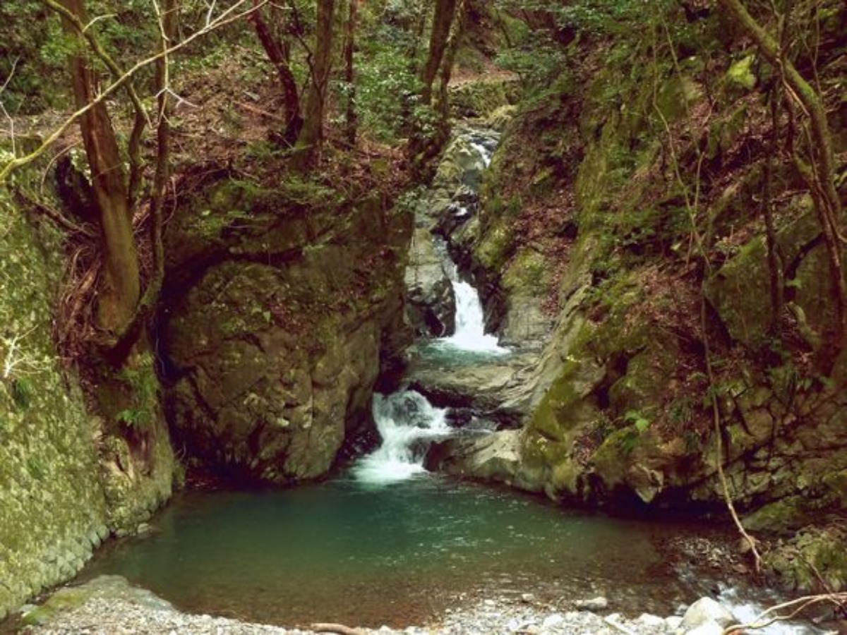 e0033229_2155475.jpg