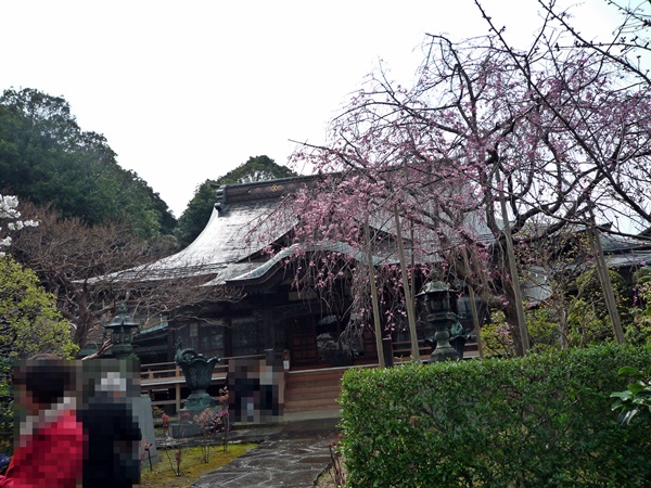 d0037233_13514231.jpg