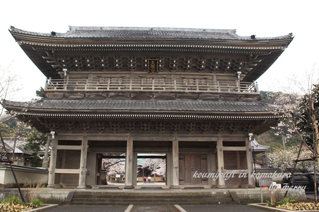 a0207736_23232563.jpg