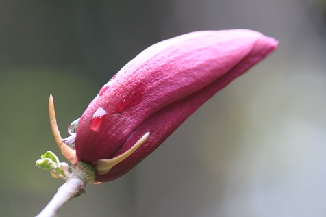 b0184636_11401653.jpg