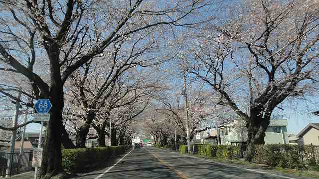 f0208737_21422850.jpg