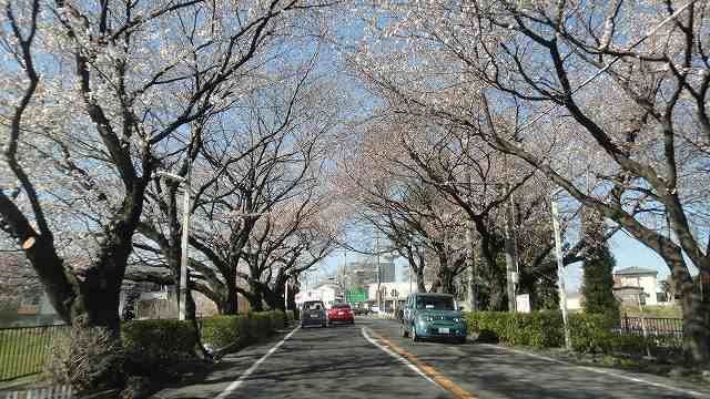 f0208737_21423937.jpg