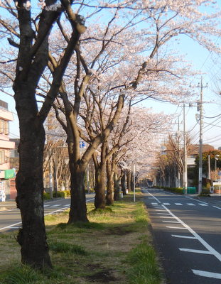 a0142343_10563526.jpg