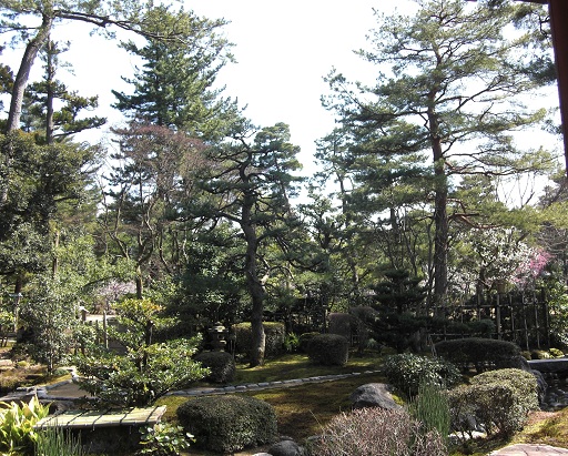 b0189343_875952.jpg