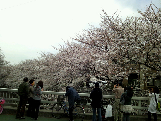 a0053648_205173.jpg