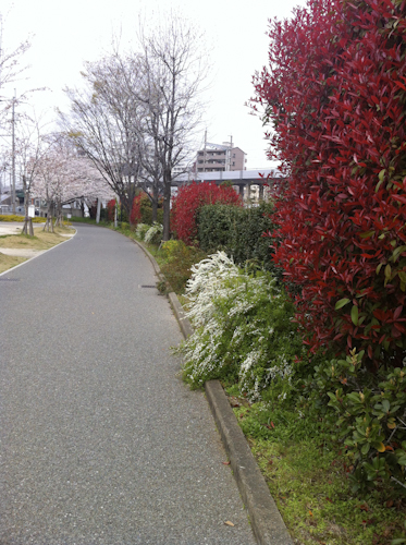 b0158551_115360.jpg
