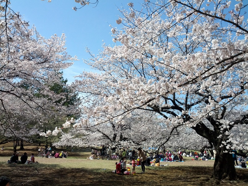 c0058052_23594431.jpg