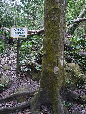f0043656_1213927.jpg