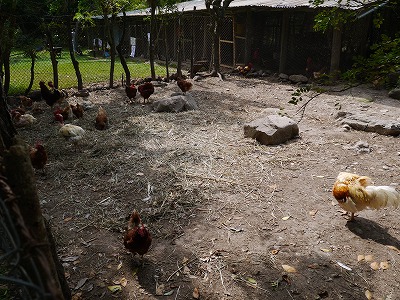 f0043656_12314758.jpg