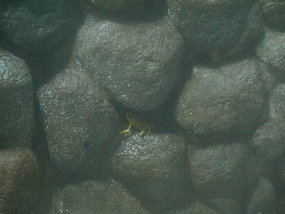 f0043656_12381648.jpg