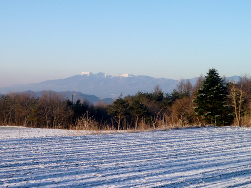 b0045357_14154346.jpg