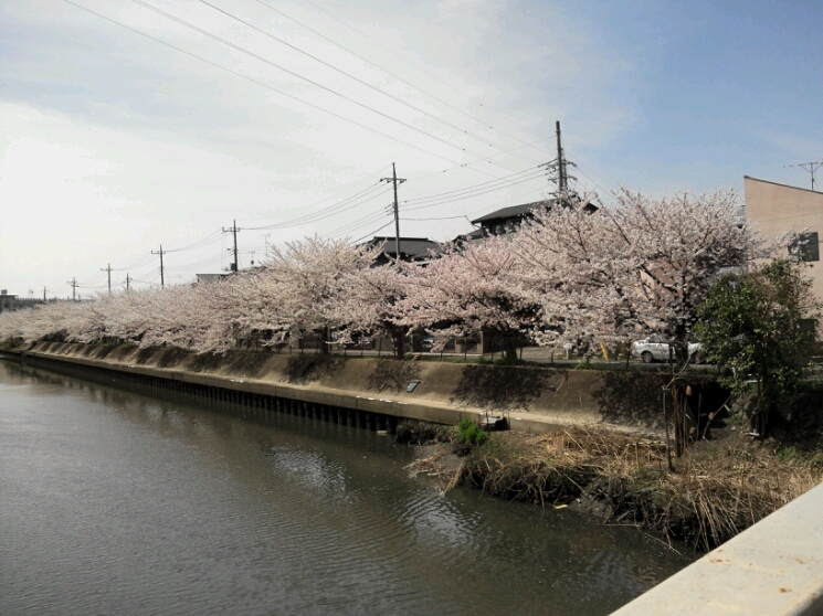 b0232058_22104656.jpg