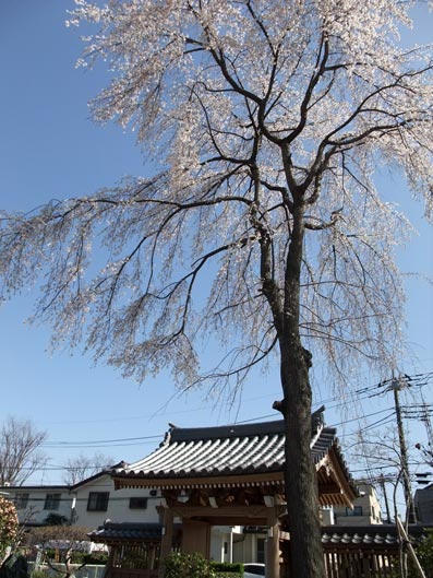 b0059664_745565.jpg