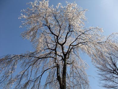 b0059664_7455890.jpg