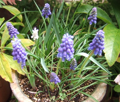 e0225164_12233785.jpg