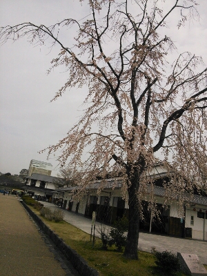 a0111166_8331278.jpg