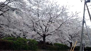 e0063270_17285020.jpg